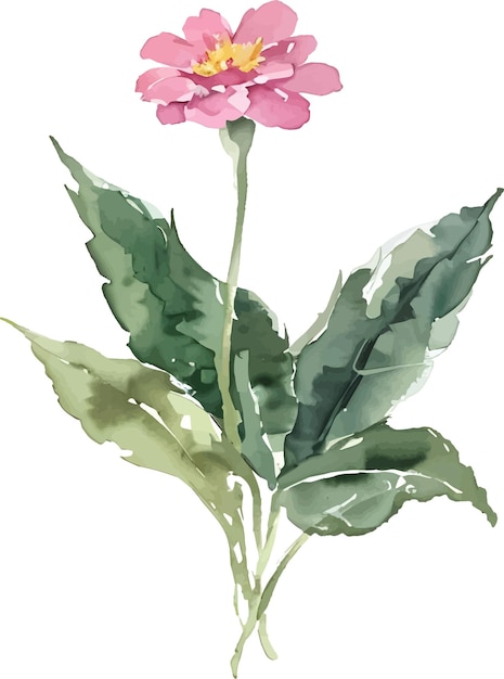 Vector flower