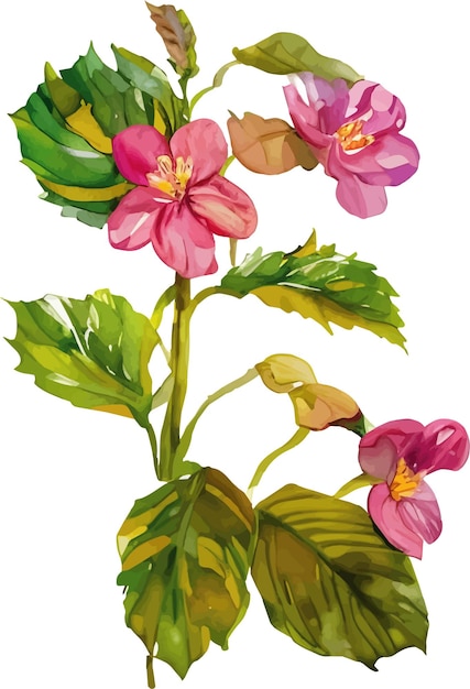 Vector flower