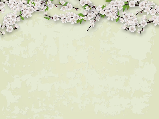 Flowering branches of a tree on the background of a stucco wall Vector blank for spring illustration