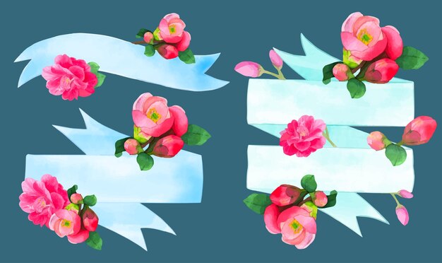 Flowering quince blossom watercolor Blue ribbons banner vector