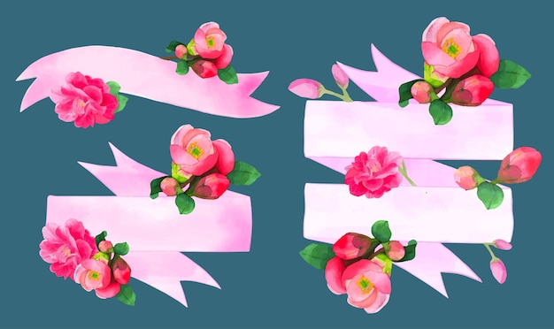 Vector flowering quince blossom watercolor pink ribbons banner vector