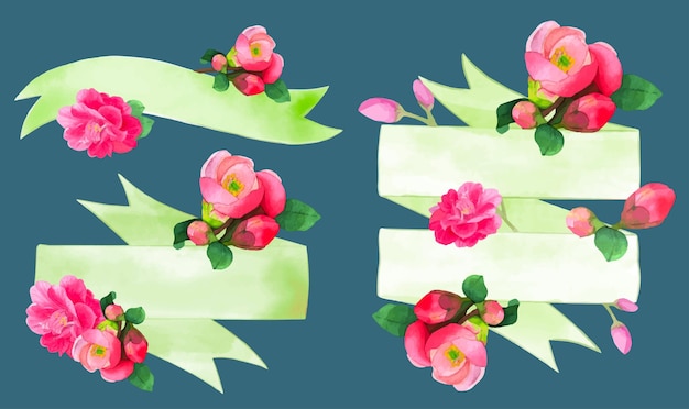 Flowering quince blossom watercolor ribbons banner vector