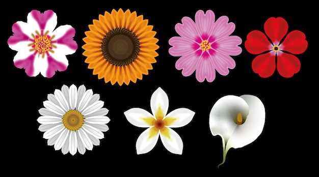 flowers 1