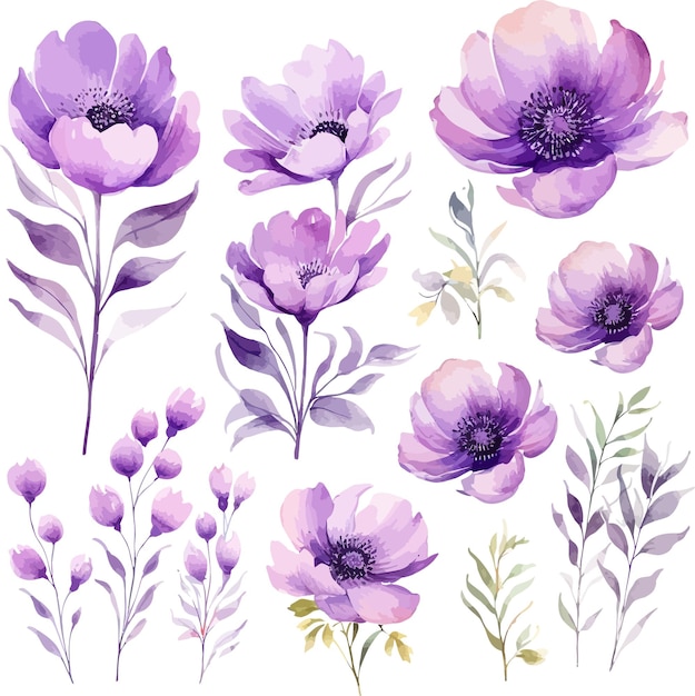 Vector flowers 30