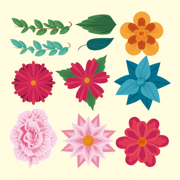 Vector flowers amd leaves collection