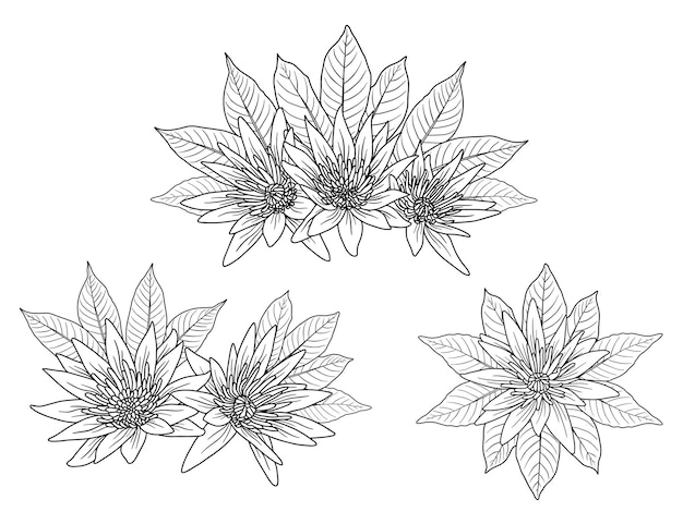 Flowers arrangement with hand drawn line art