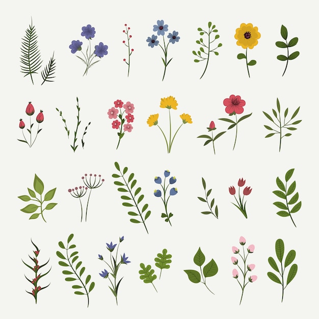 Flowers background illustration