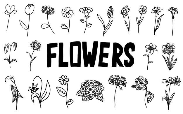 Flowers black and white set in outline style