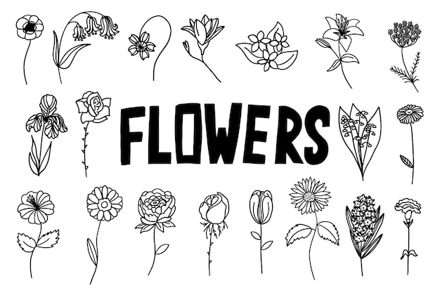 Flowers black and white set in outline style