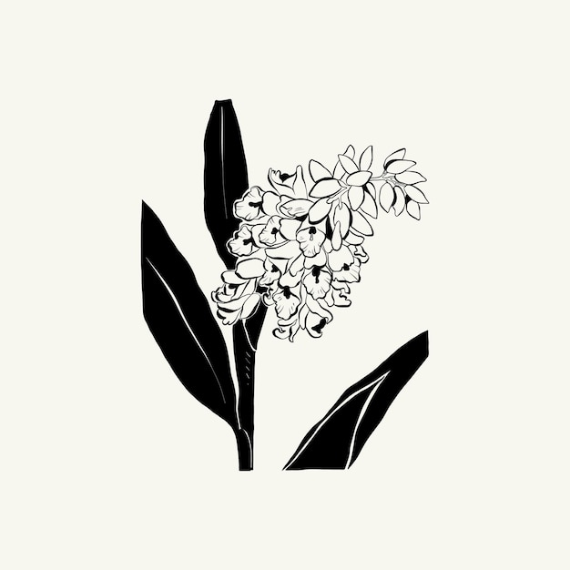 Fiori, illustrazione botanica. inchiostro nero, linea, stile doodle.