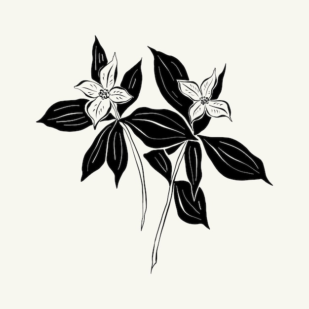 꽃, 보타니카 그림입니다. 검정 잉크, 선, 낙서 스타일.
