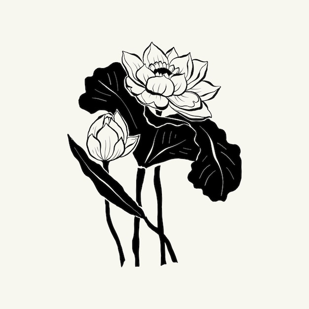 Flowers, Botanica illustration. Black ink, line, doodle style.