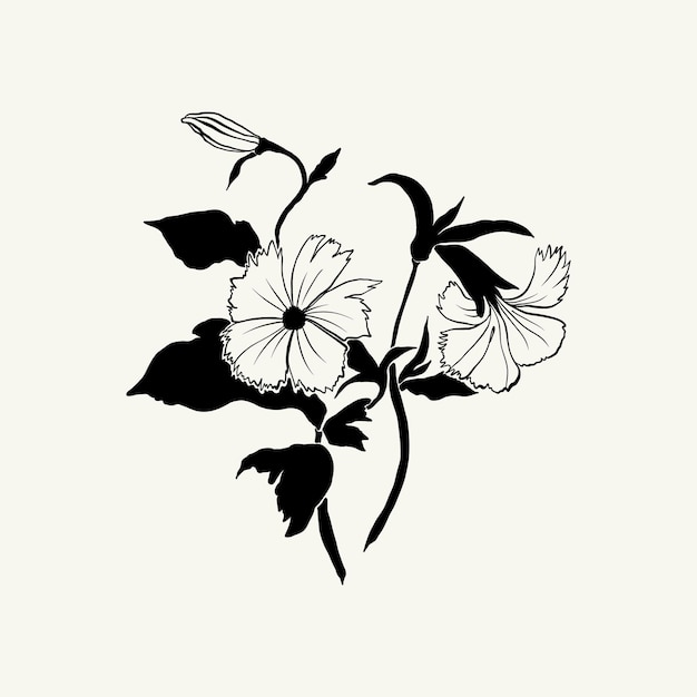 Fiori, illustrazione botanica. inchiostro nero, linea, stile doodle.