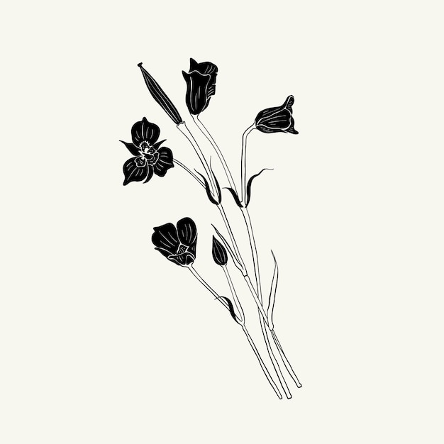 Fiori, illustrazione botanica. inchiostro nero, linea, stile doodle.