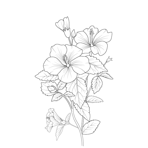 Flowers branch of hibiscus Hand drawing  vector illustration isolate on white background color page.