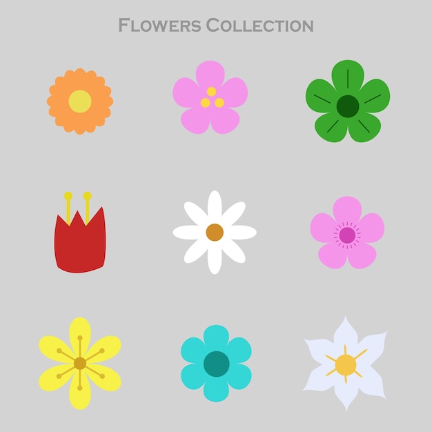 Коллекция цветов