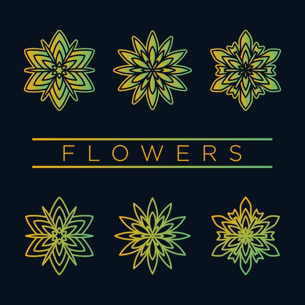 Vector flowers collection