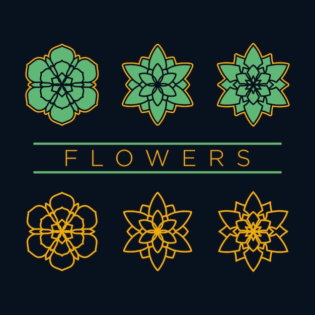 Vector flowers collection