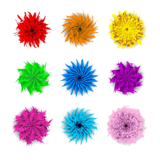 Flowers colorful vector set isolated in white background Big set of beautiful colorful flowers Vector illustration