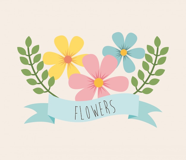 Flowers design over pink background vector illustration