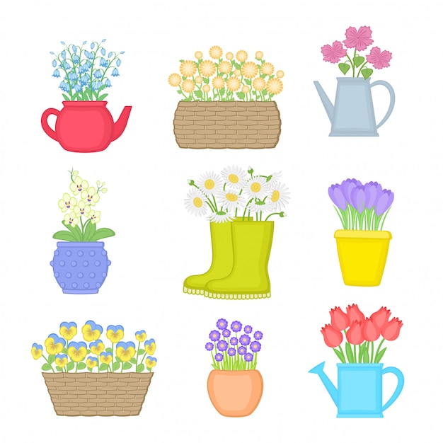 Flowers in different pots. set of spring flowers.