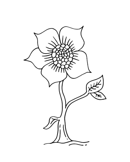 Flowers doodle sketch isolated on white background