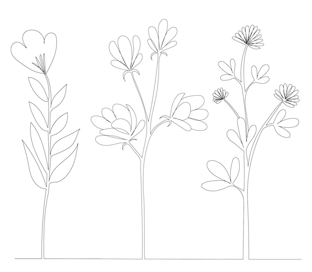 Flowers drawing in one continuous line isolated vector