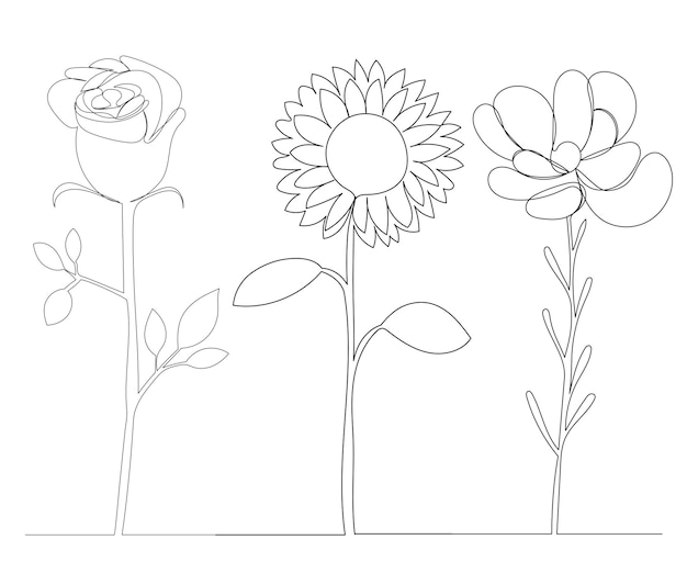 Flowers drawing in one continuous line sketch isolated vector