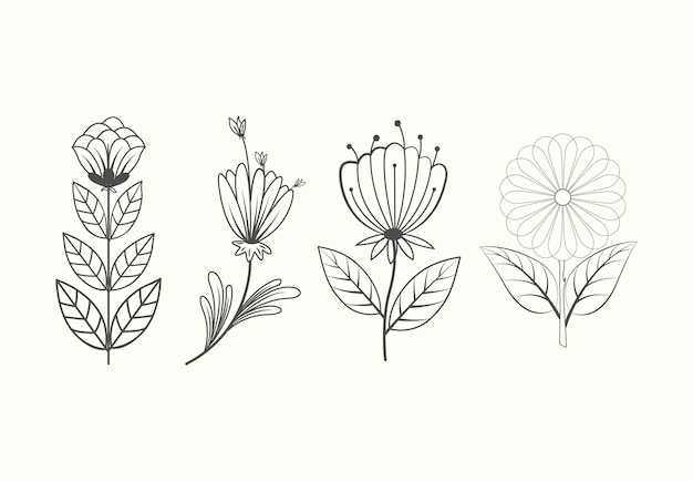 Flowers drawing in vintage style white background