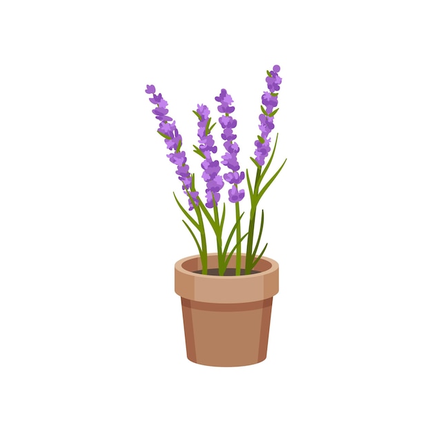 Flowers grow in a clay pot vector illustration