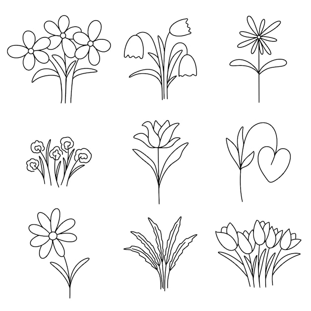 Flowers and herbs set vector illustration doodle bloom spring collection simple outline flowers