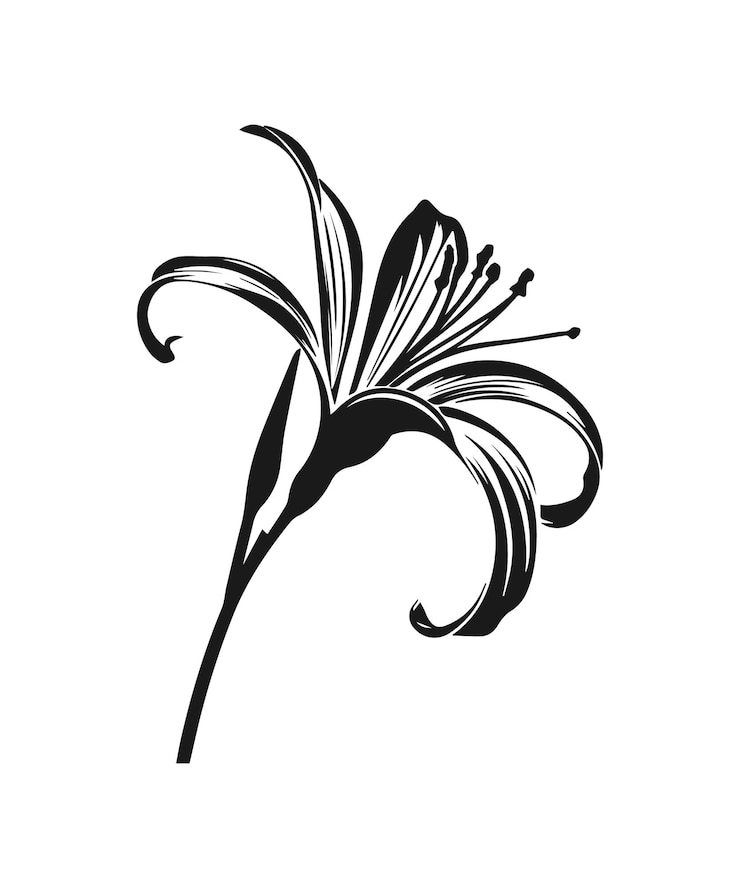 Vector flowers isolated on transparent background