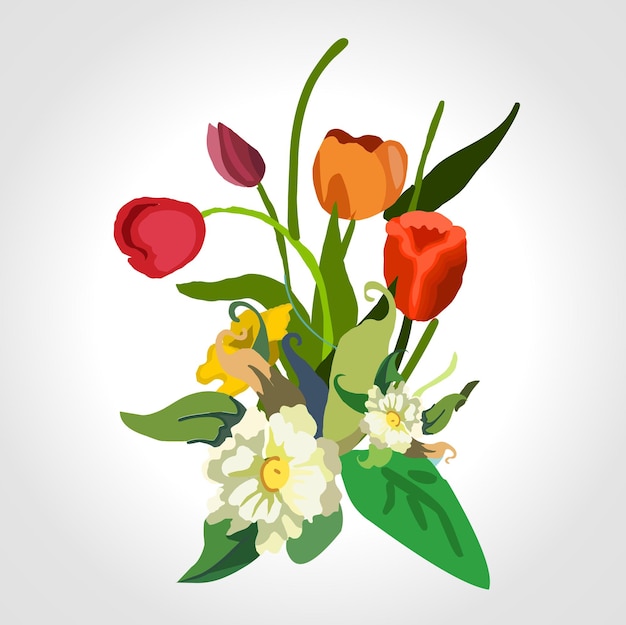 Flowers isolated vector illustration with tulips