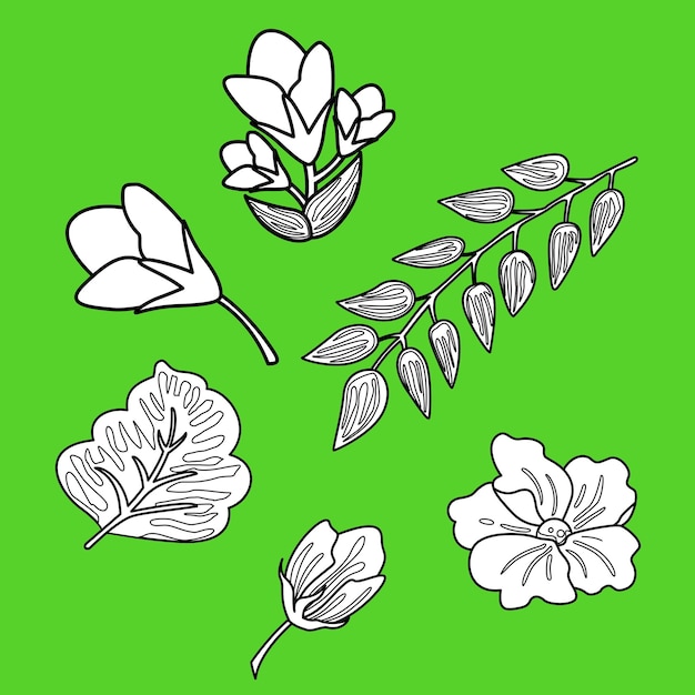 Цветы лист растения природа цифровая марка
