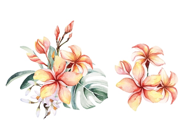 Flowers and leaves branches of plumeria flowers with watercolorTropical botanical for summer