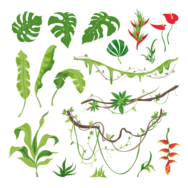 Vector flowers leaves and branches of various jungle plants set flat vector illustration