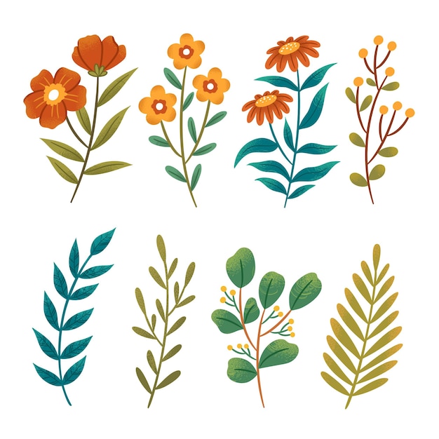 Vector flowers and leaves element collection