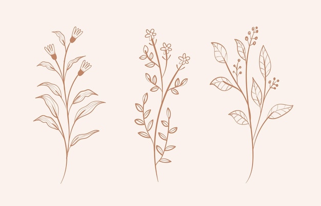 Flowers leaves line art