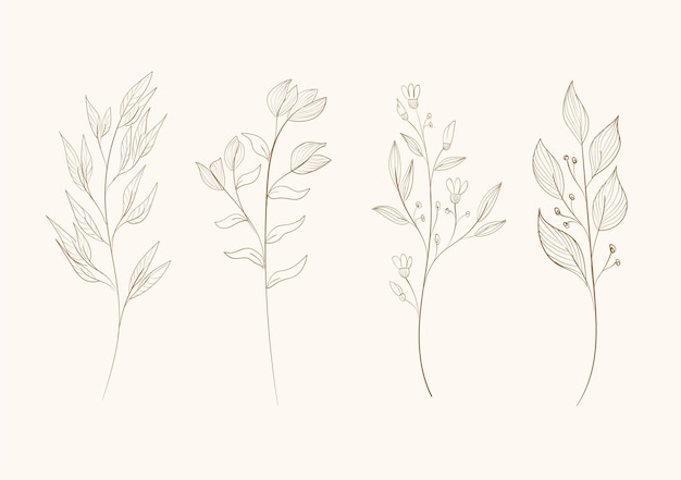 flowers and leaves outline clipart