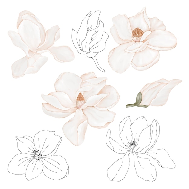 Flowers and leaves in pastel colors