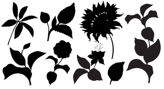 Flowers and leaves Plant elements isolated on the white background