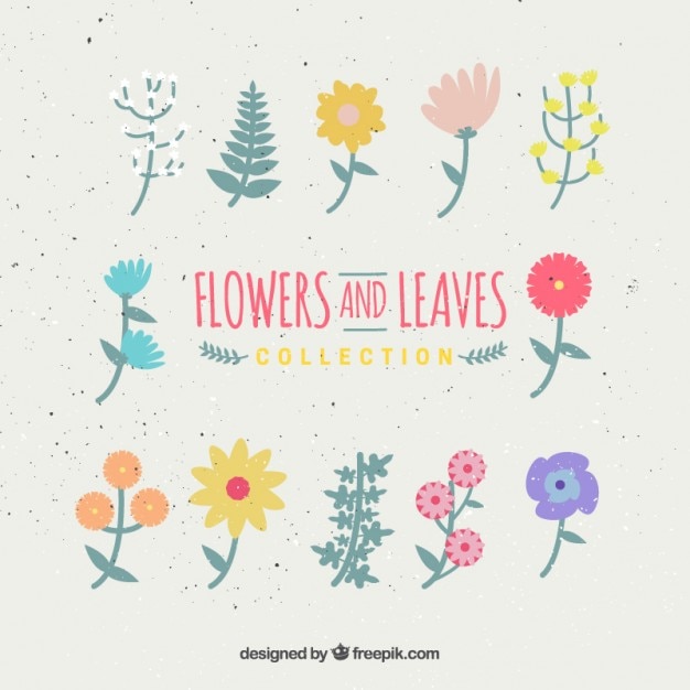 Flowers and leaves set