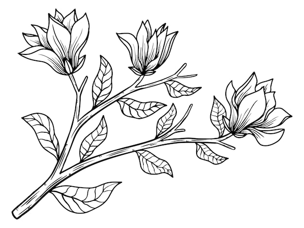 Flowers line art arrangement