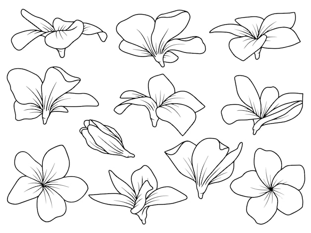 Vector flowers line art arrangement