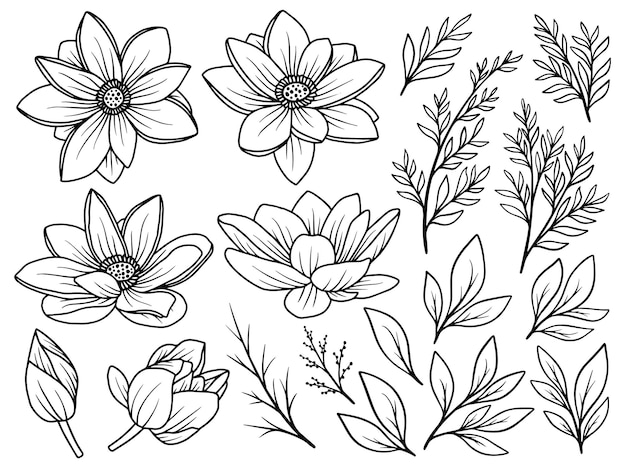 Vector flowers line art