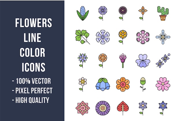 Vector flowers line color icons
