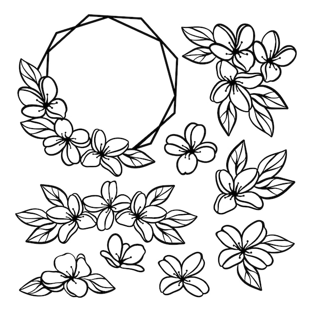 Vector flowers monochrome collection