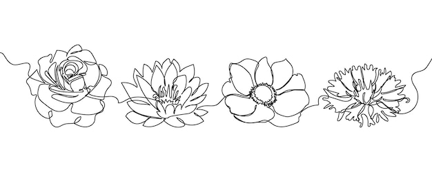 Flowers one line set art. Continuous line drawing of plants, flower, blossom, nature, lotus, rose, anemone, cornflower.