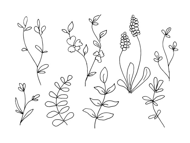 Vector flowers and plants are handdrawn in the style of doodles