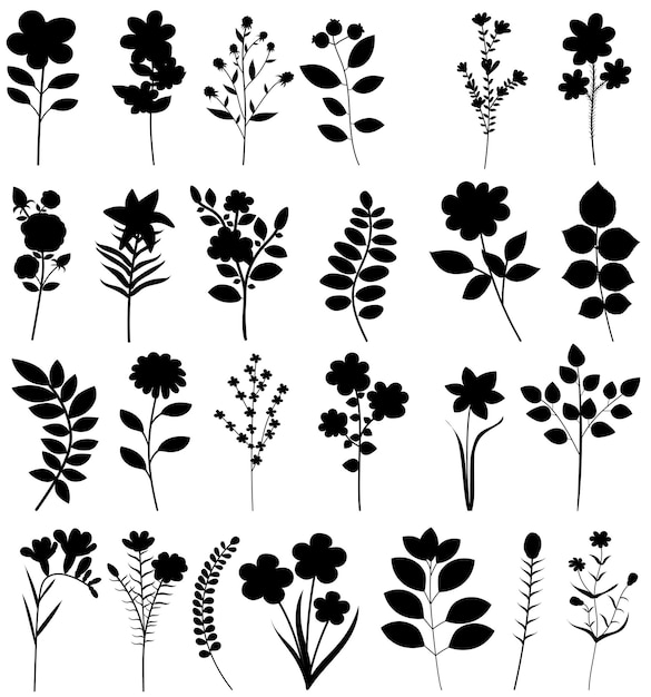 Flowers plants set black silhouette isolated